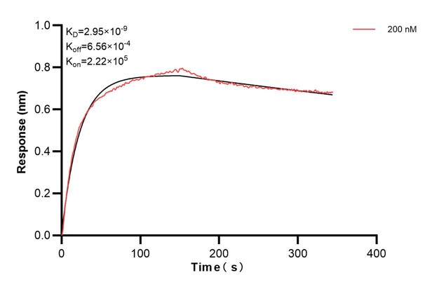 Affinity and Kinetic Characterization of 67818-5-PBS