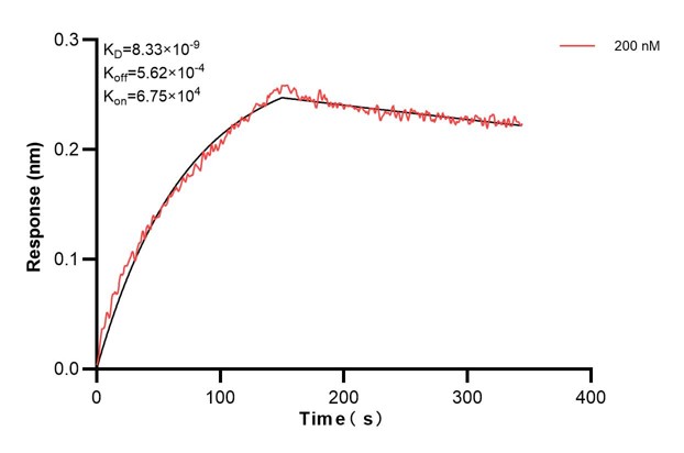 Affinity and Kinetic Characterization of 67845-3-PBS