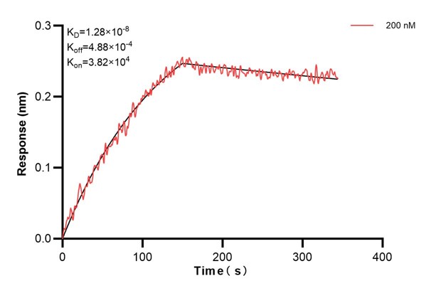 Affinity and Kinetic Characterization of 67870-2-PBS
