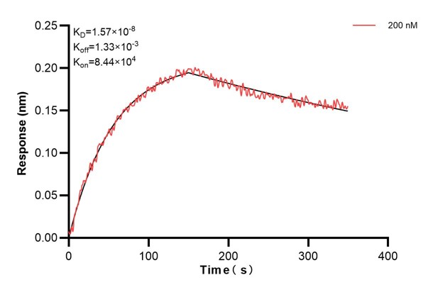 Affinity and Kinetic Characterization of 67870-3-PBS
