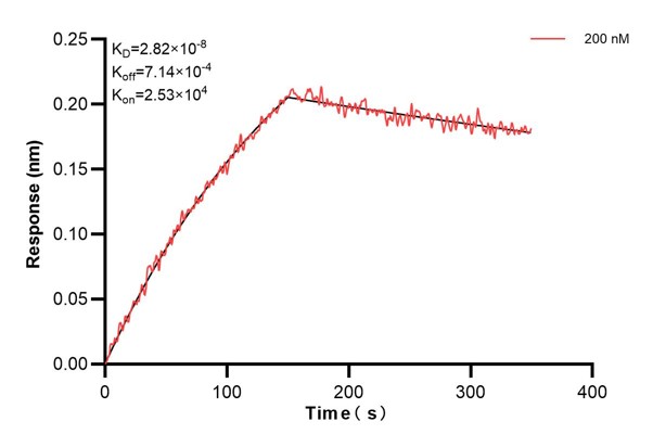 Affinity and Kinetic Characterization of 67870-4-PBS