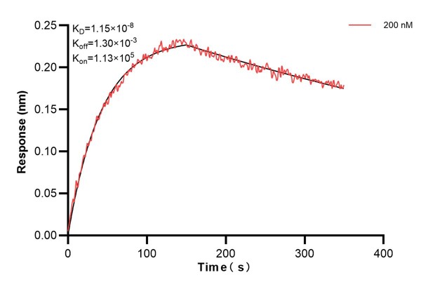 Affinity and Kinetic Characterization of 67870-5-PBS