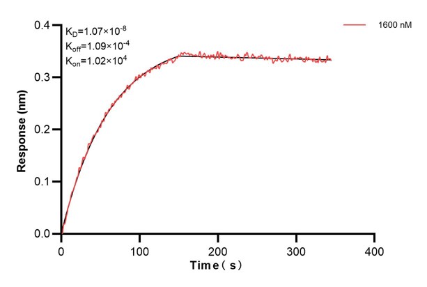 Affinity and Kinetic Characterization of 67870-6-PBS
