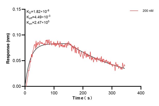 Affinity and Kinetic Characterization of 68173-2-PBS
