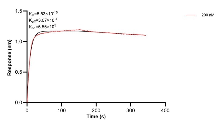 Affinity and Kinetic Characterization of 68262-1-PBS