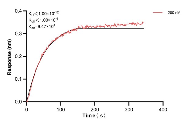 Affinity and Kinetic Characterization of 68364-2-PBS