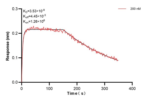 Affinity and Kinetic Characterization of 68683-1-PBS