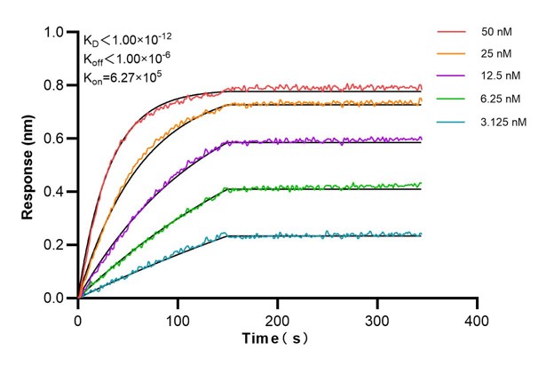 Affinity and Kinetic Characterization of 68706-1-PBS