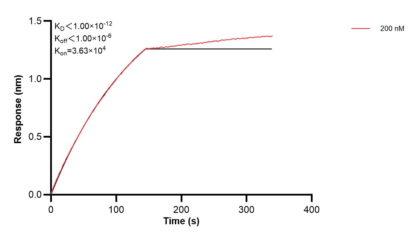 Affinity and Kinetic Characterization of 68762-1-PBS