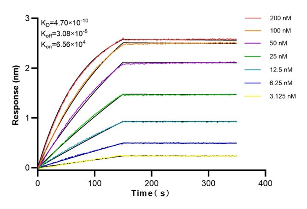 Affinity and Kinetic Characterization of 68839-5-Ig