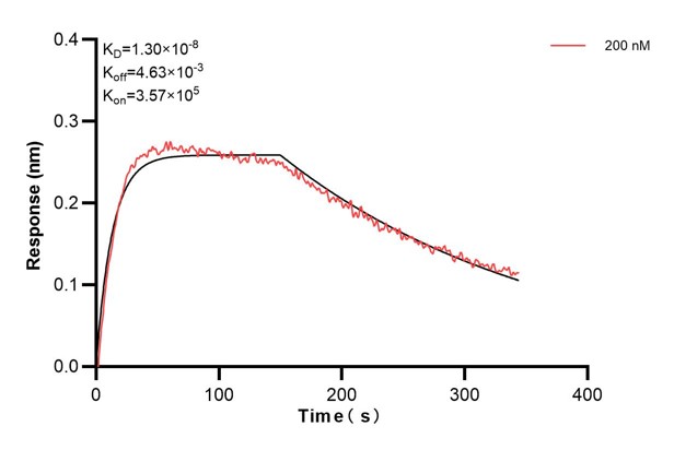 Affinity and Kinetic Characterization of 68894-1-PBS
