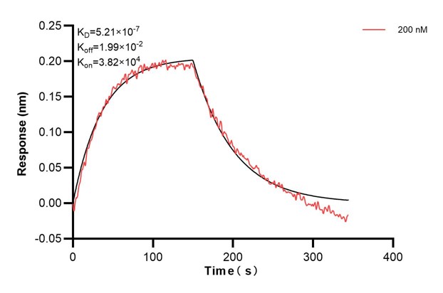 Affinity and Kinetic Characterization of 68895-1-PBS