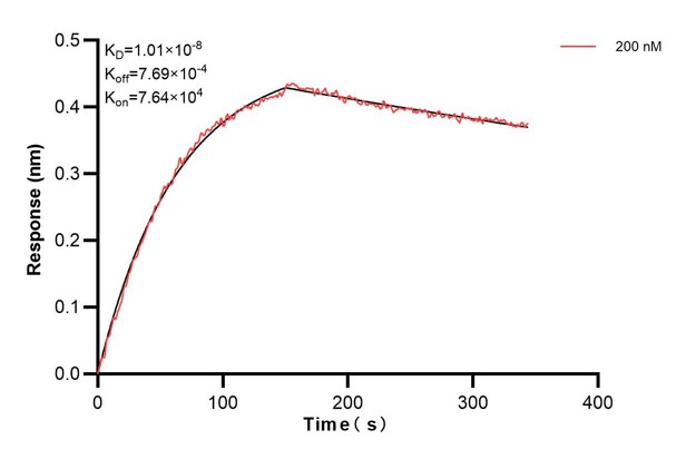 Affinity and Kinetic Characterization of 68895-2-PBS