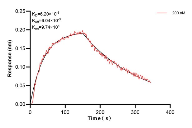 Affinity and Kinetic Characterization of 68895-3-PBS