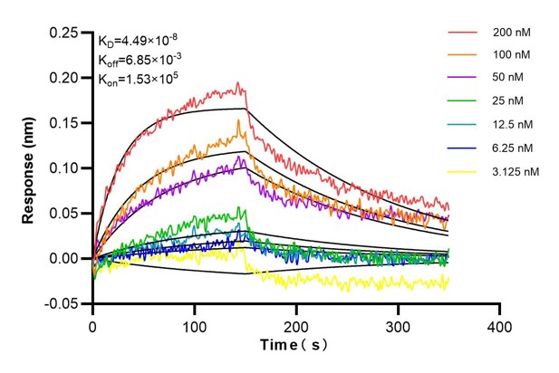 Affinity and Kinetic Characterization of 68897-2-PBS