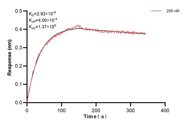 Affinity and Kinetic Characterization of 68917-2-PBS