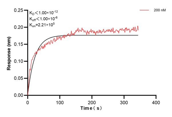 Affinity and Kinetic Characterization of 68973-1-PBS