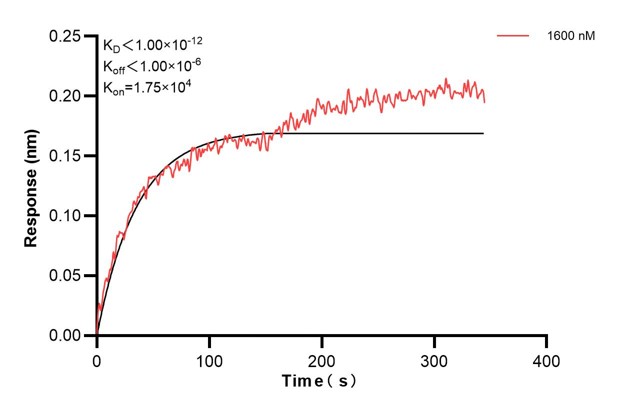 Affinity and Kinetic Characterization of 68973-4-PBS