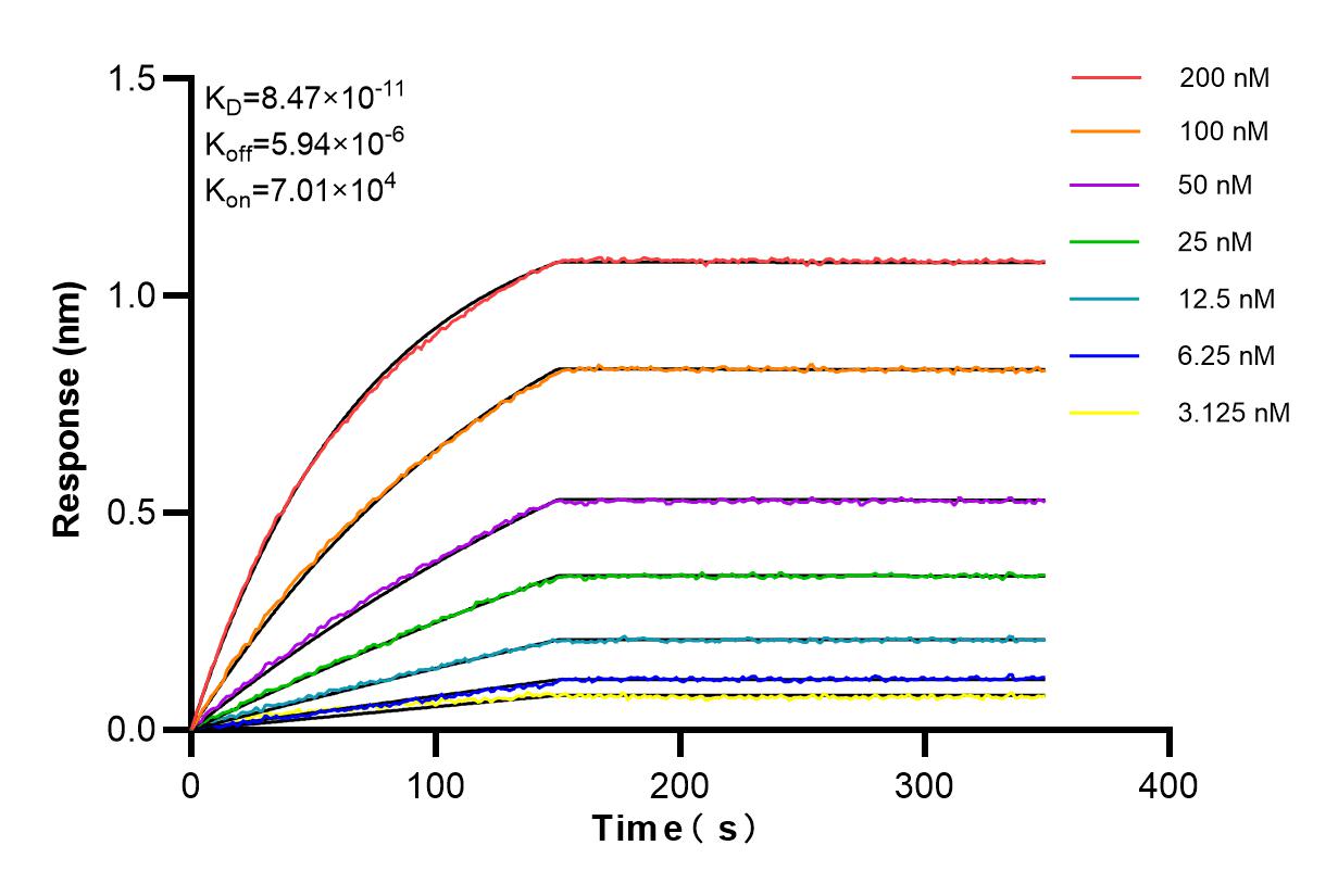 Affinity and Kinetic Characterization of 80062-2-PBS