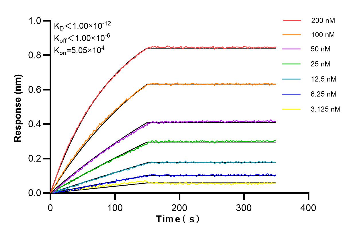Affinity and Kinetic Characterization of 80062-3-PBS