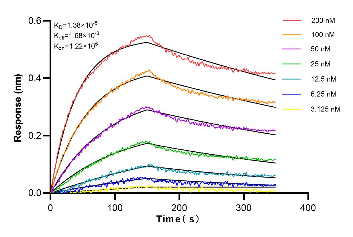 Affinity and Kinetic Characterization of 80170-1-RR