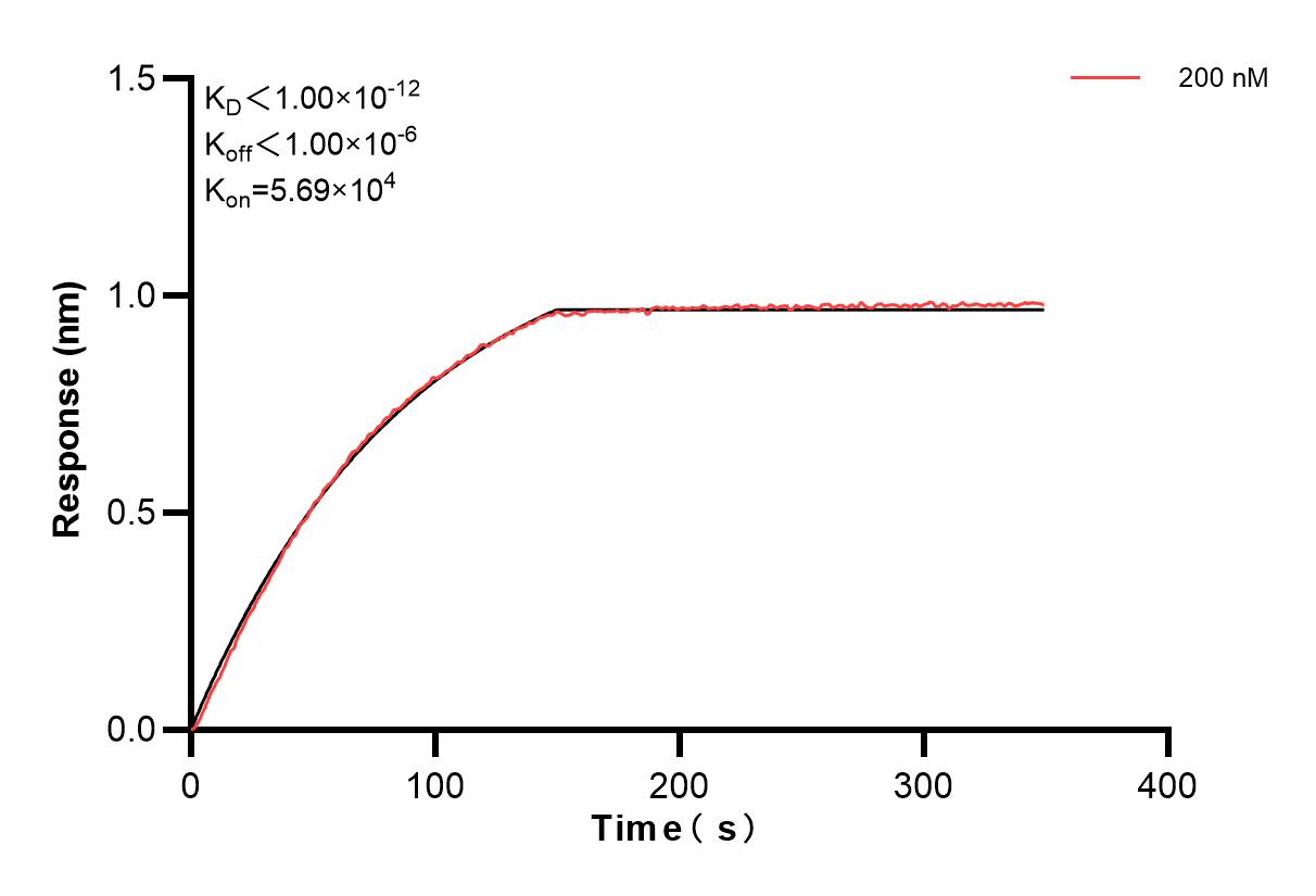 Affinity and Kinetic Characterization of 80362-3-PBS