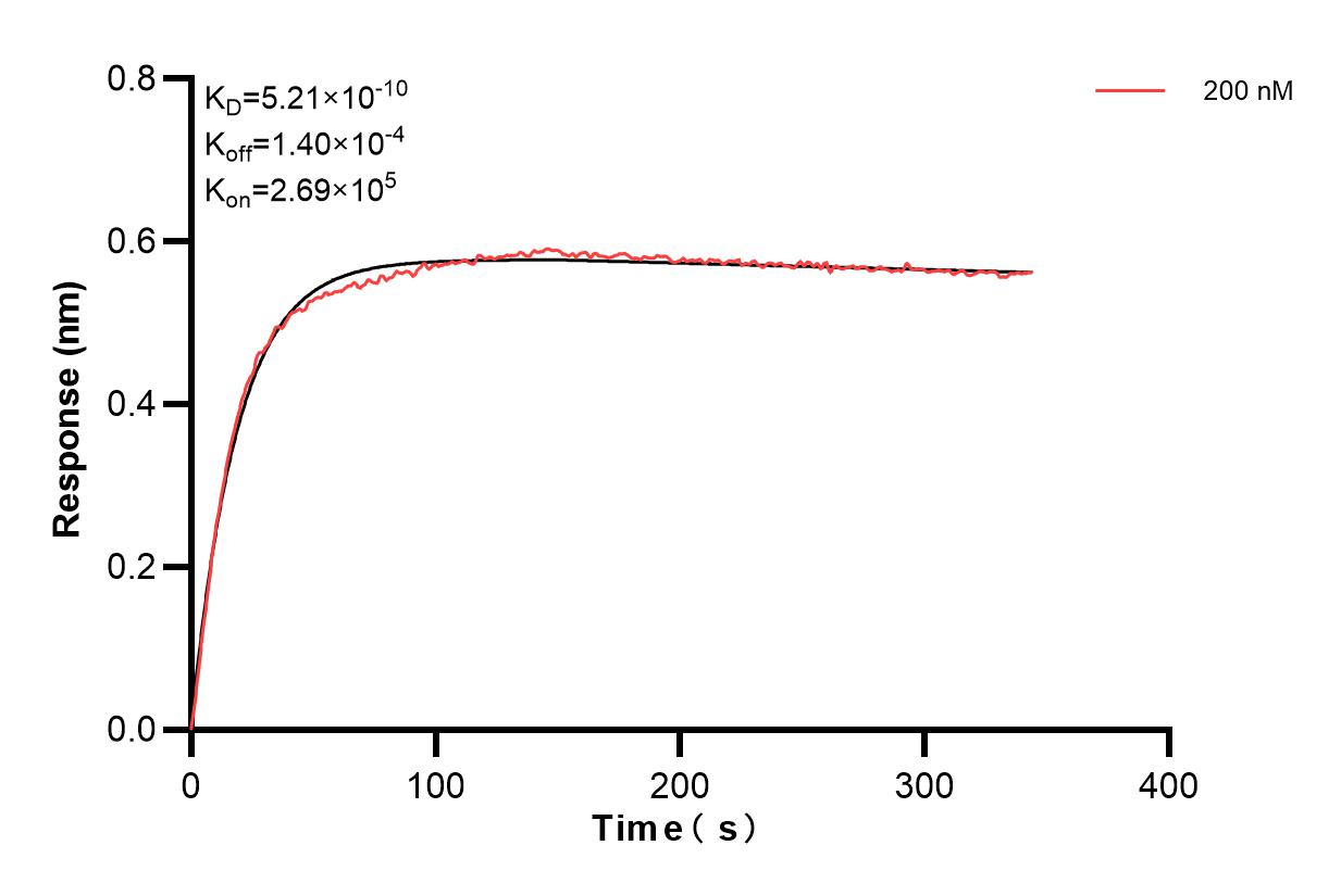 Affinity and Kinetic Characterization of 80362-4-PBS
