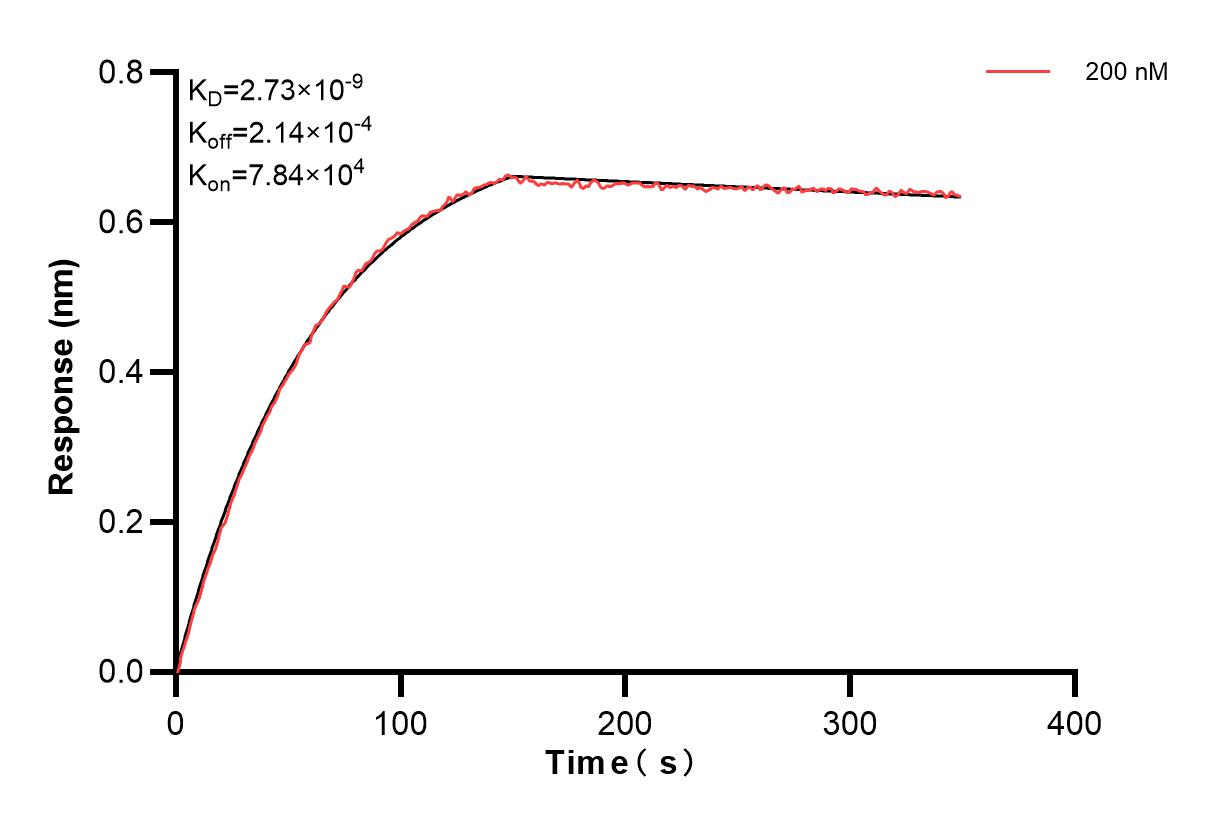 Affinity and Kinetic Characterization of 80422-2-PBS