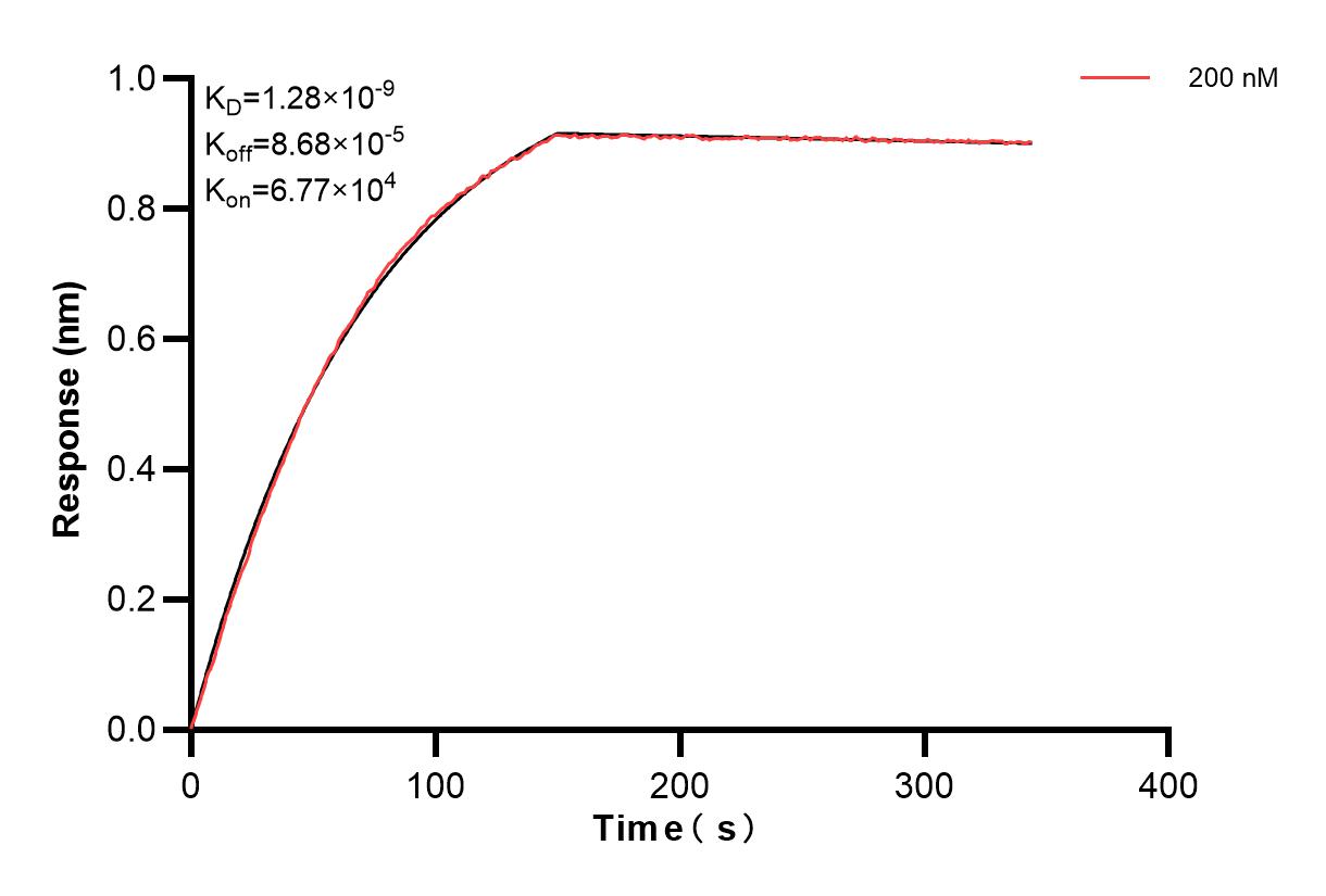 Affinity and Kinetic Characterization of 80744-1-PBS