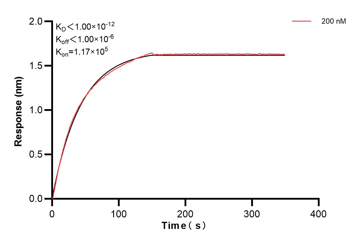 Affinity and Kinetic Characterization of 80762-1-PBS