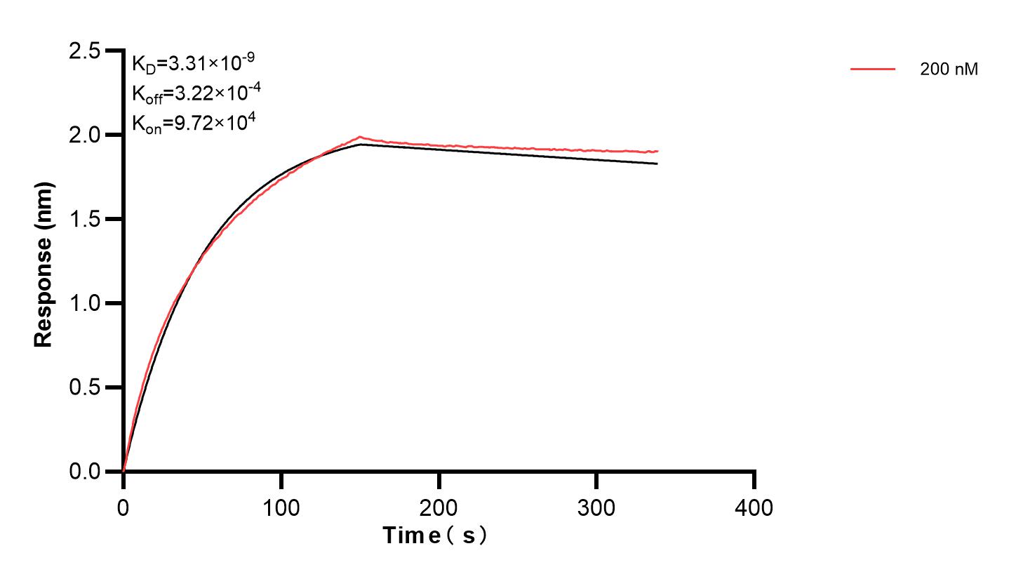 Affinity and Kinetic Characterization of 80821-7-PBS