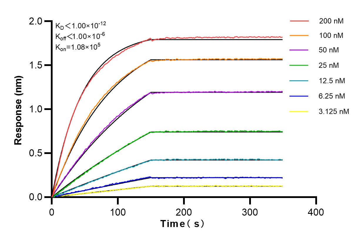 Affinity and Kinetic Characterization of 80918-1-RR