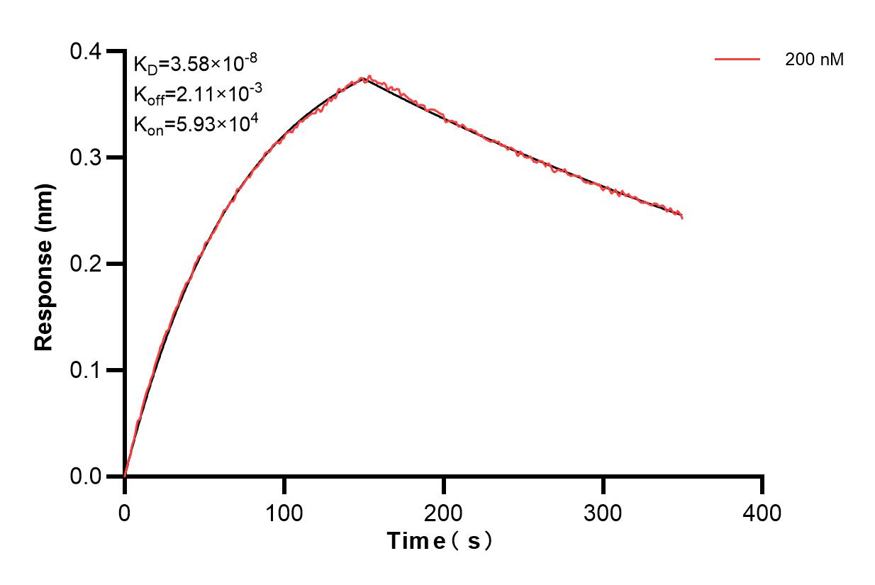 Affinity and Kinetic Characterization of 80924-4-PBS