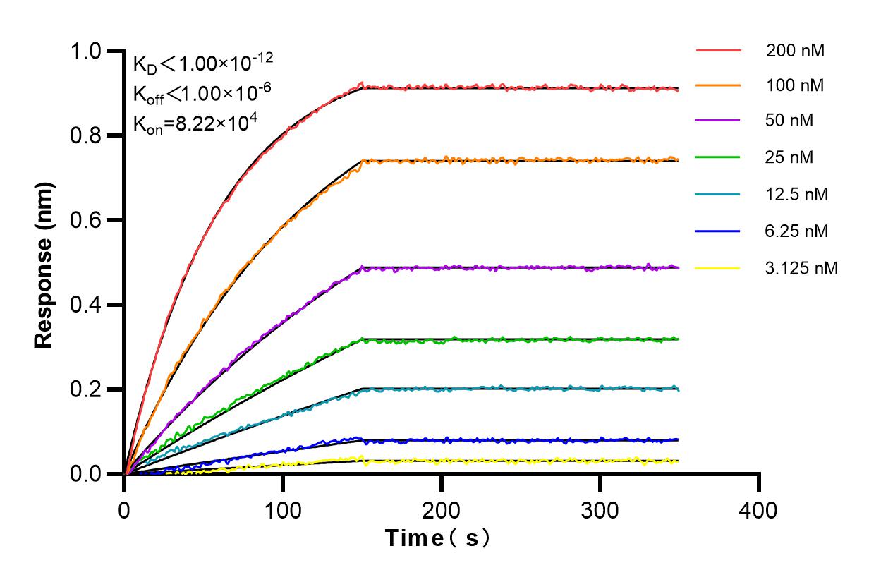 Affinity and Kinetic Characterization of 81350-1-RR