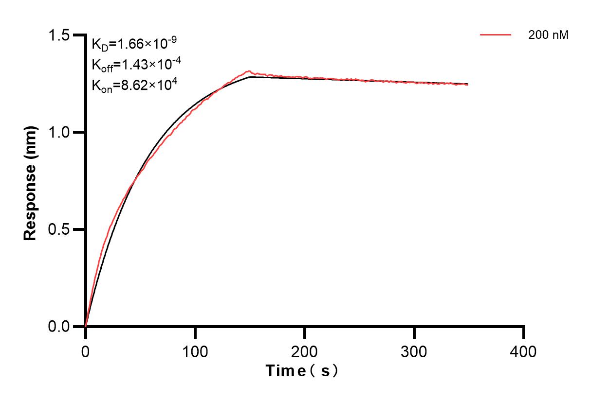 Affinity and Kinetic Characterization of 81373-2-PBS