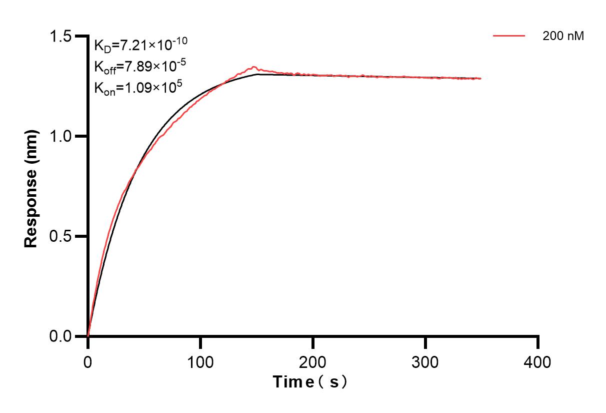 Affinity and Kinetic Characterization of 81373-6-PBS