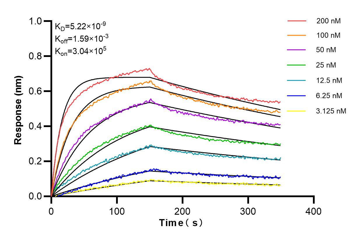 Affinity and Kinetic Characterization of 81474-6-RR