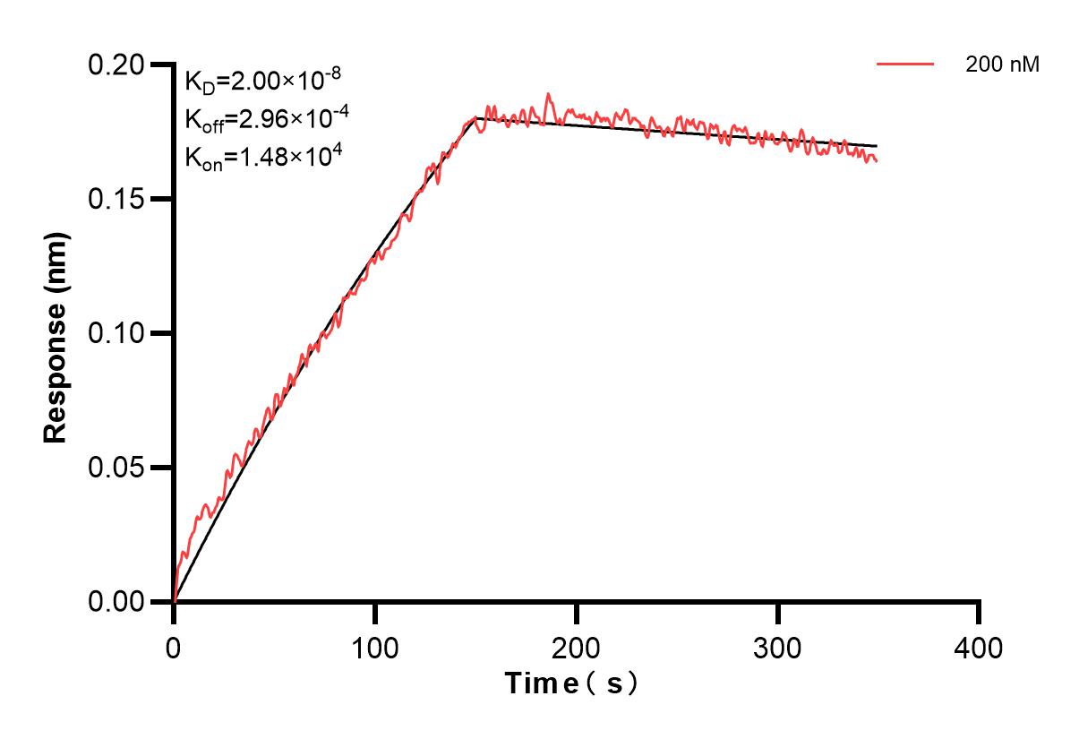 Affinity and Kinetic Characterization of 81490-4-PBS