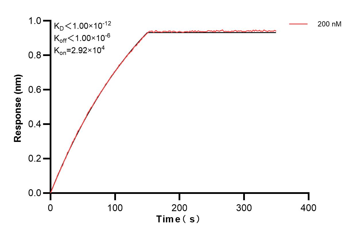 Affinity and Kinetic Characterization of 81490-7-PBS
