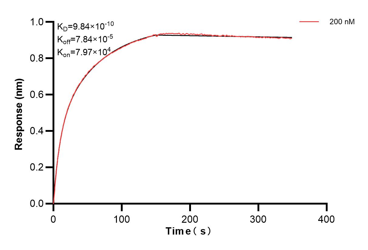 Affinity and Kinetic Characterization of 81756-1-PBS