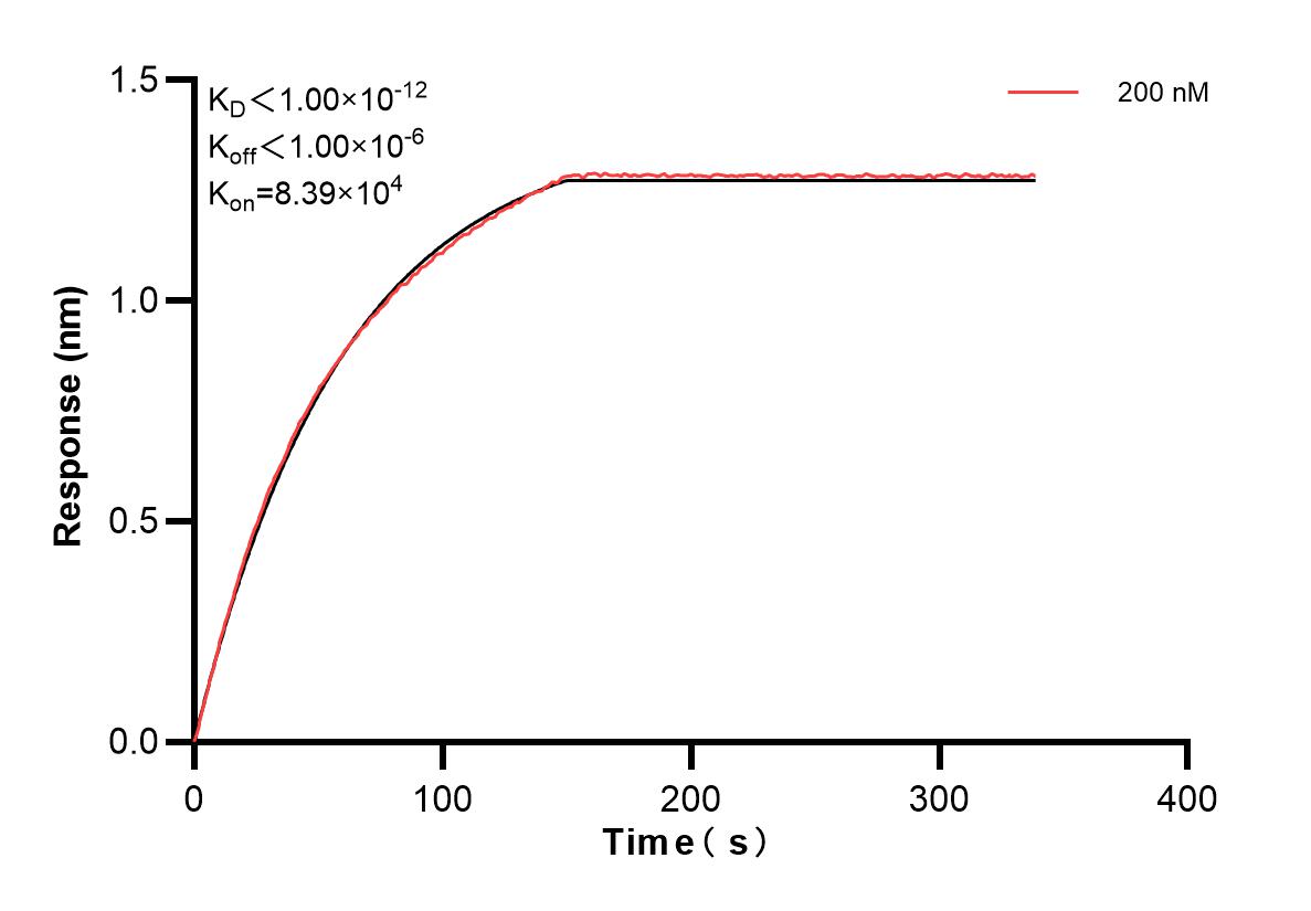 Affinity and Kinetic Characterization of 82080-2-PBS