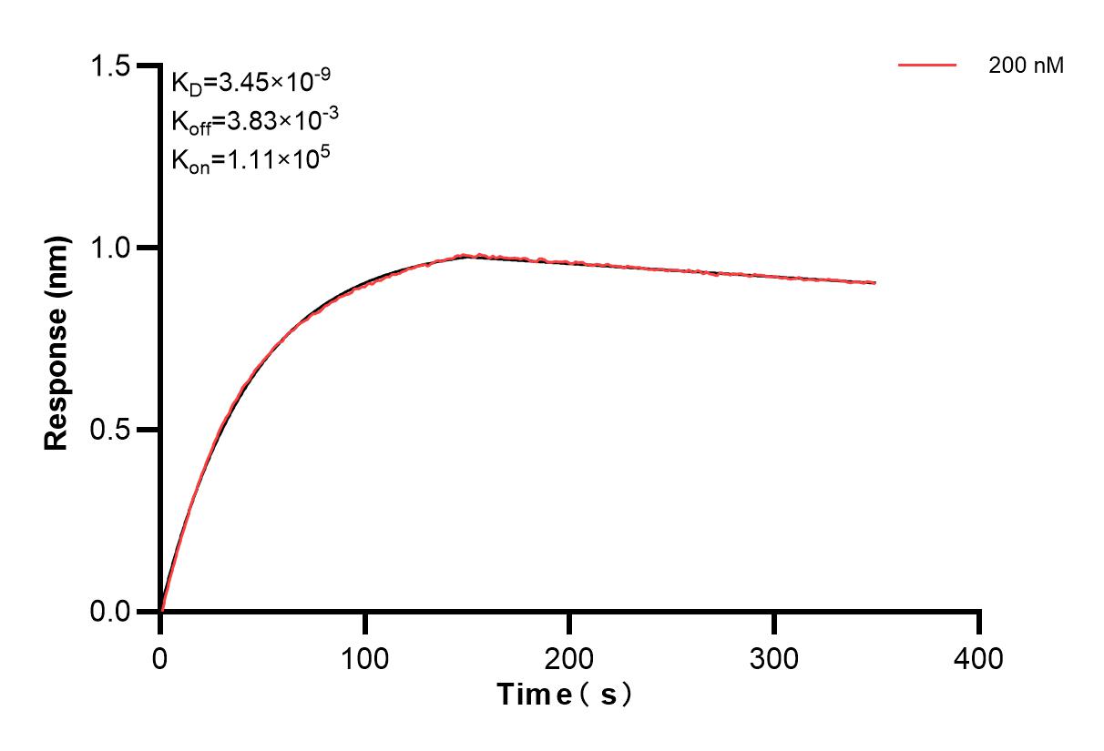 Affinity and Kinetic Characterization of 82080-4-PBS