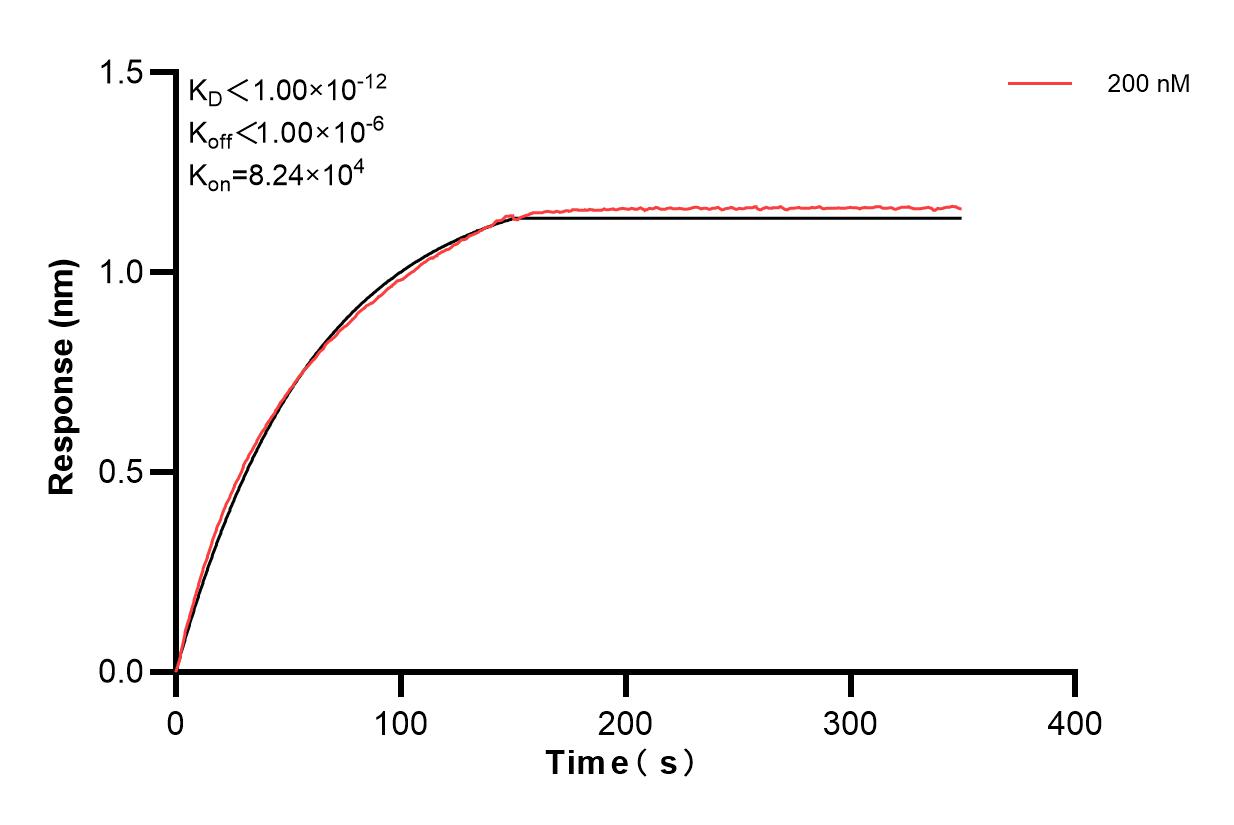 Affinity and Kinetic Characterization of 82188-2-PBS