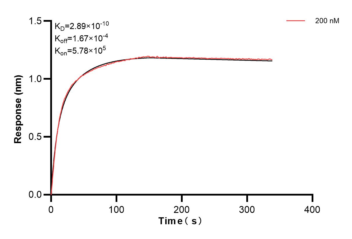 Affinity and Kinetic Characterization of 82271-12-PBS