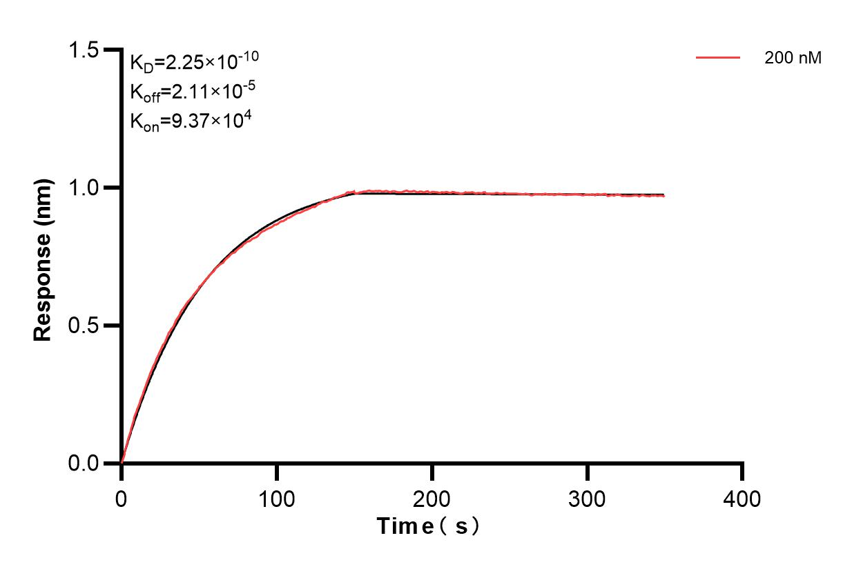 Affinity and Kinetic Characterization of 82296-3-PBS