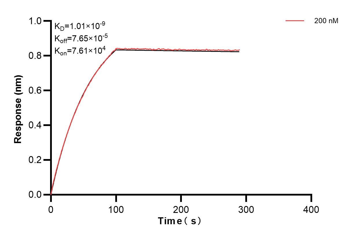 Affinity and Kinetic Characterization of 82296-4-PBS