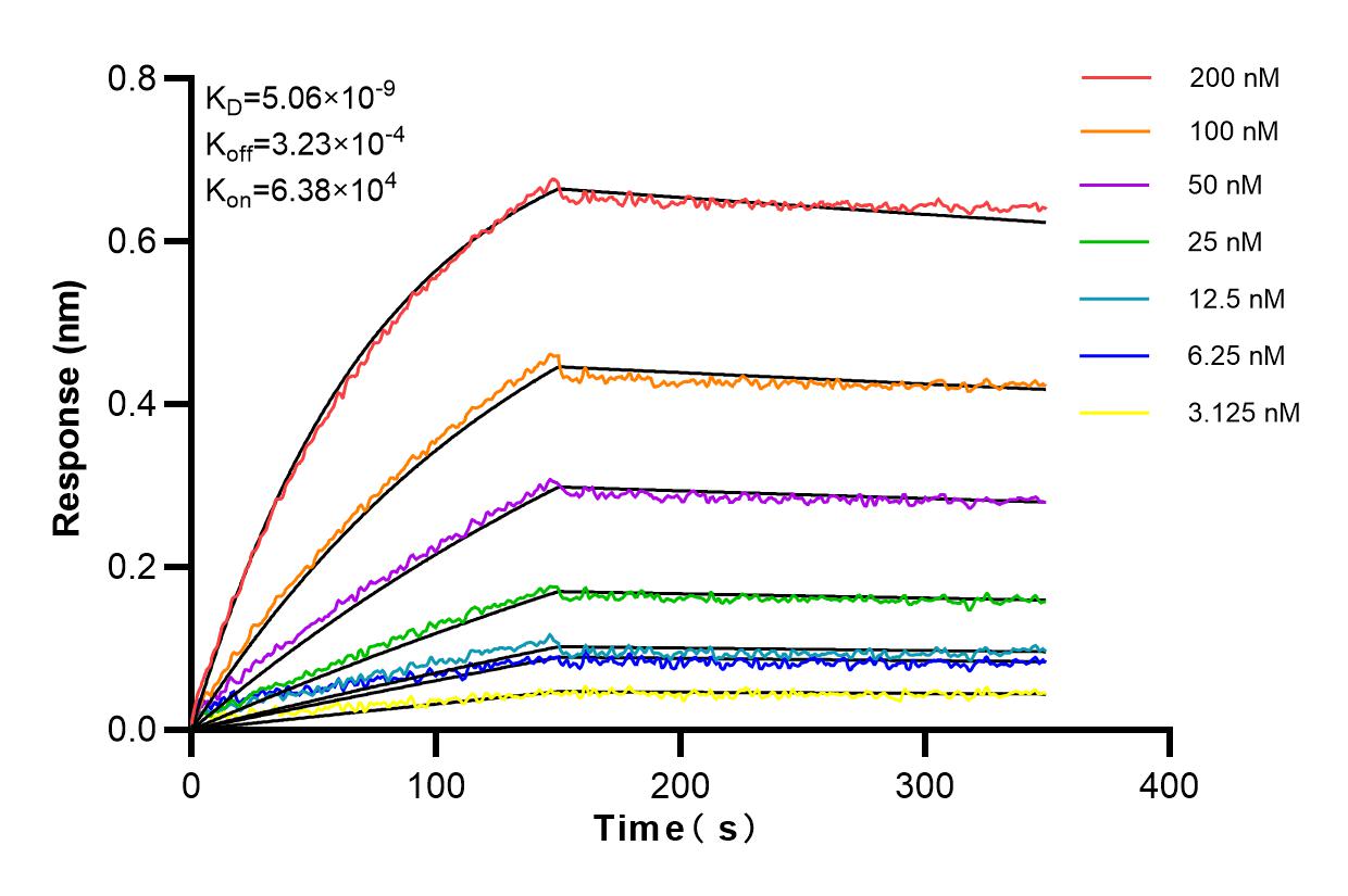 Affinity and Kinetic Characterization of 82296-6-RR