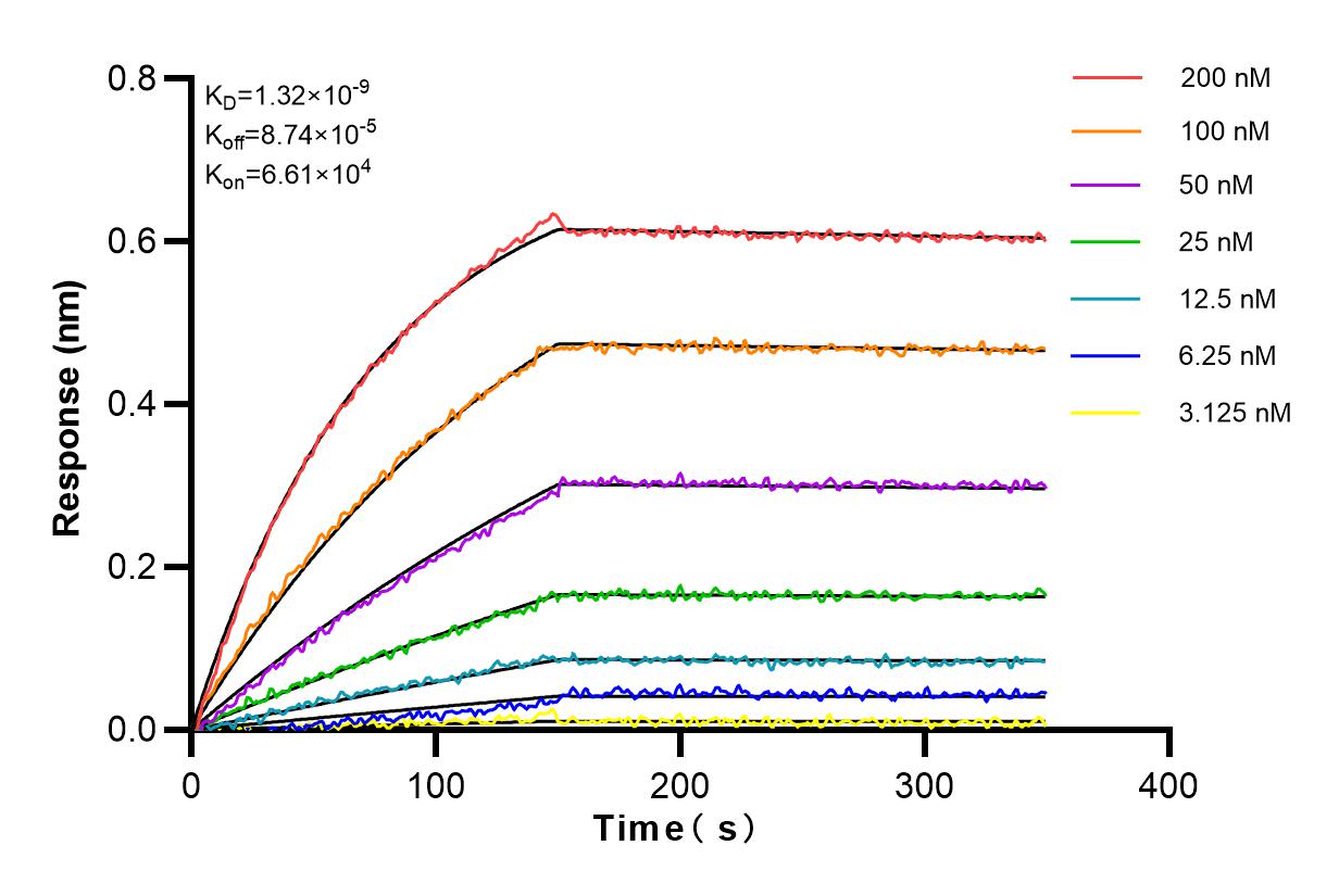 Affinity and Kinetic Characterization of 82441-1-PBS