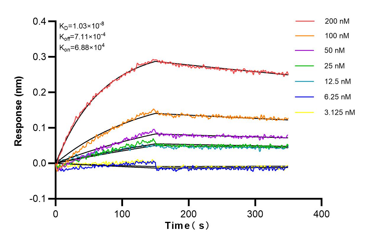 Affinity and Kinetic Characterization of 82491-1-PBS