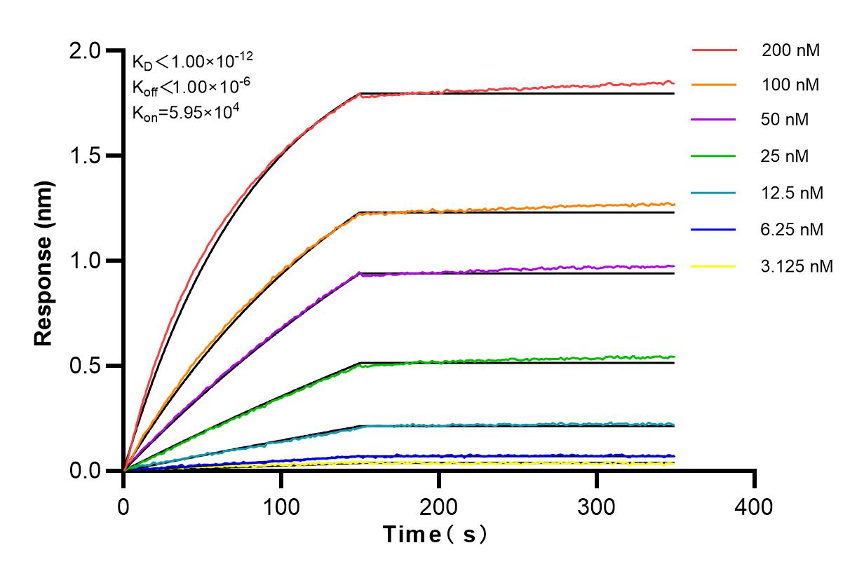 Affinity and Kinetic Characterization of 82585-1-PBS